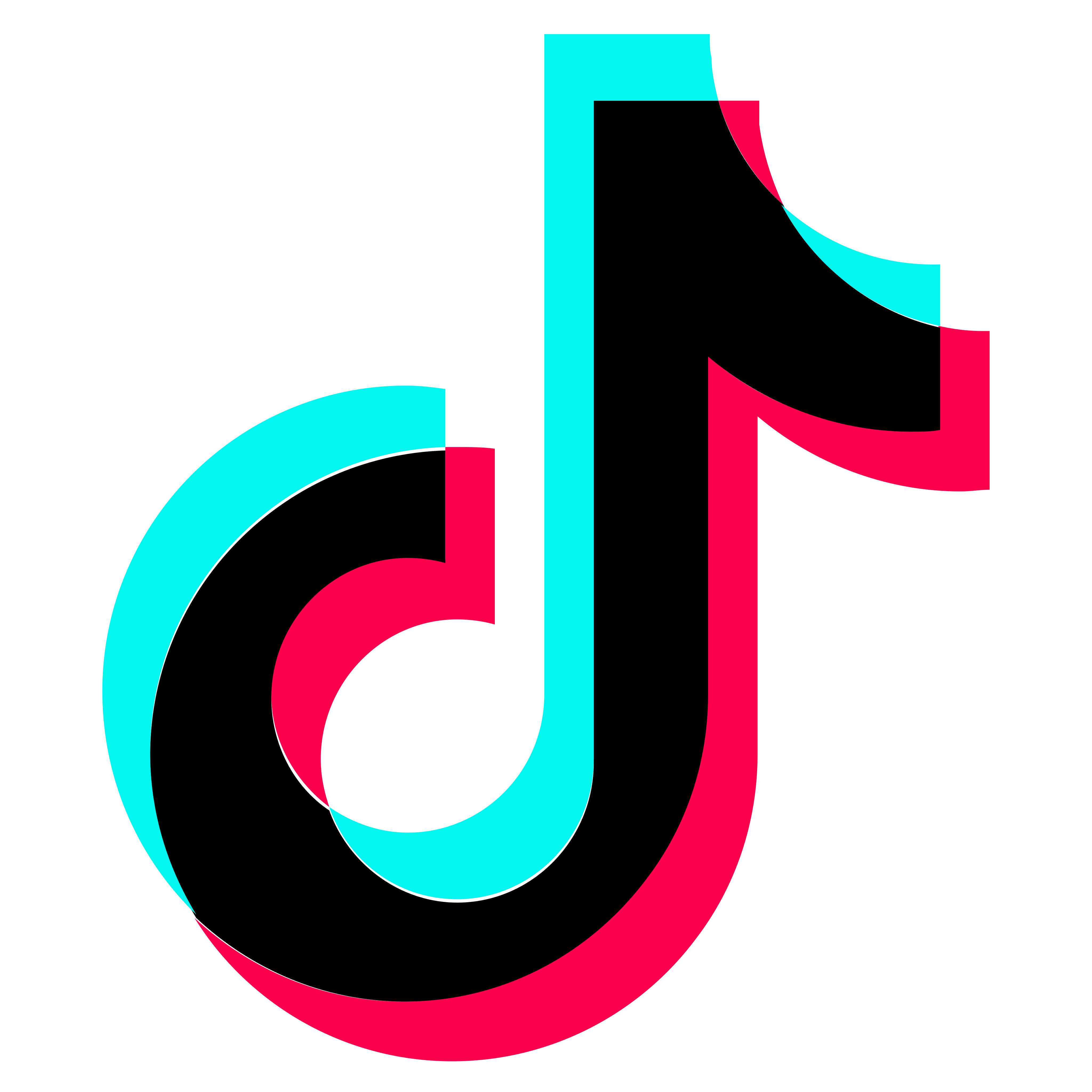 Joliet Slammers Pro Baseball  By Doejo